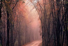 西班牙名帅调整战术，带领球队实现胜利连连