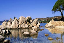 斯里兰卡女篮力战至底，不敌对手：勇气与拼搏的传奇